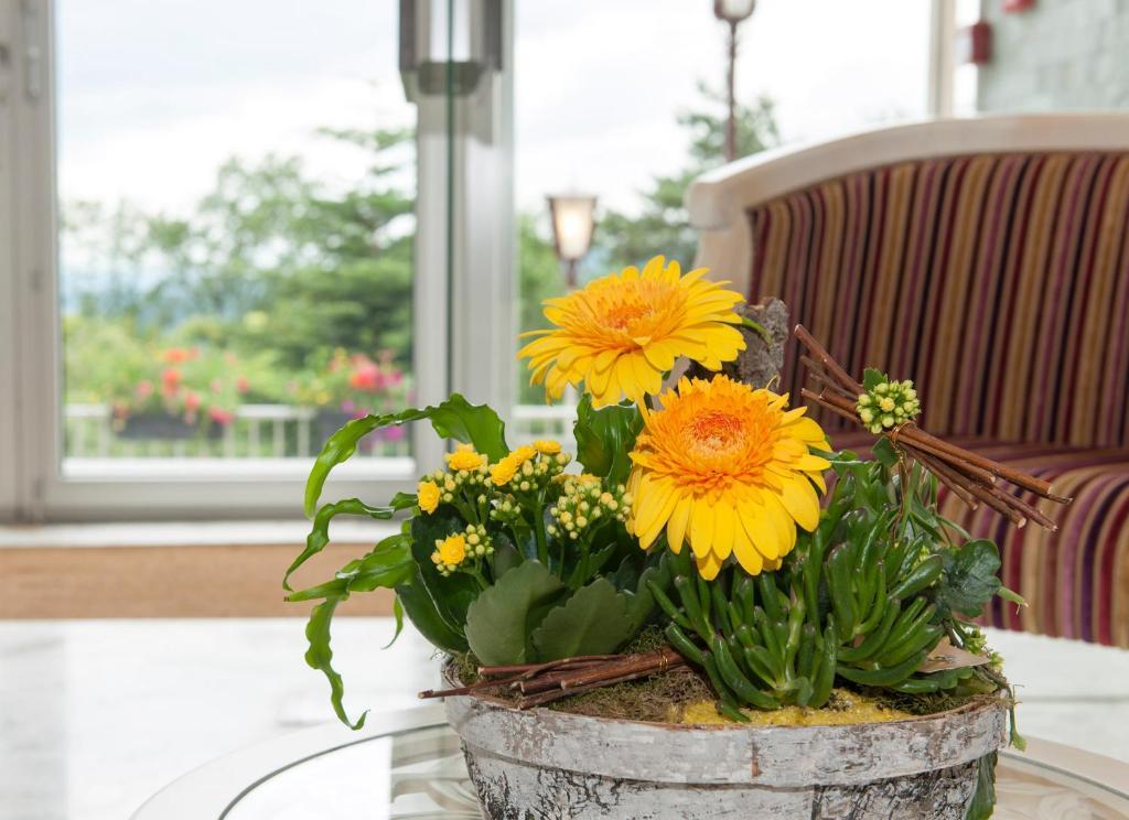Alexain Hotel Restaurant & Wellness - Colmar Ouest Trois-Épis Buitenkant foto